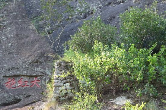 母樹大紅袍給誰喝了，為什么母樹大紅袍叫三棵六株？