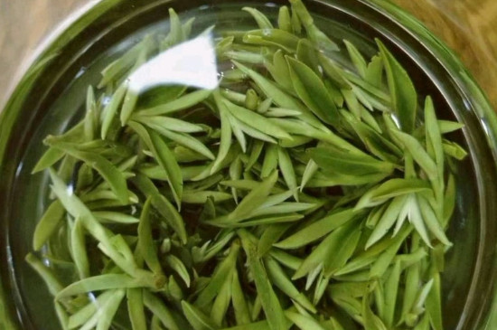 什么綠茶茶葉唇齒留香，哪個品種綠茶香氣好？