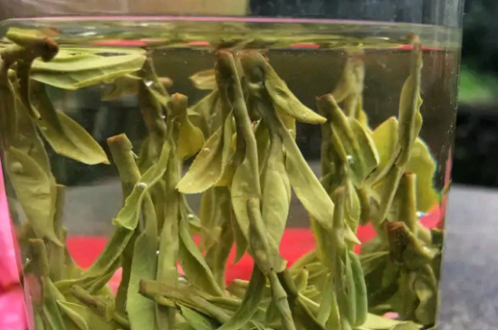 什么綠茶最香最好喝，綠茶口感與香氣排名