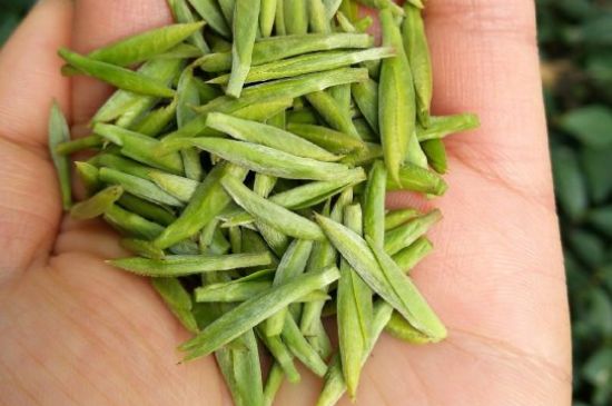 什么綠茶味道濃香，那個綠茶比較濃香？