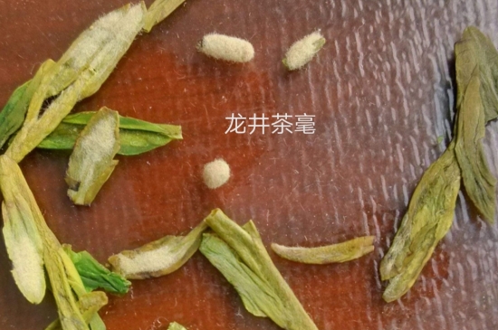 西湖龍井茶毫和發(fā)霉區(qū)別圖片，長霉的龍井茶葉會是什么樣？
