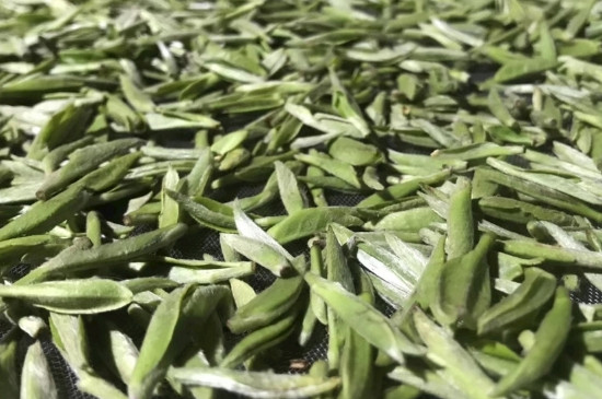 白毫銀針年份久的有什么香，陳年白毫銀針的香氣