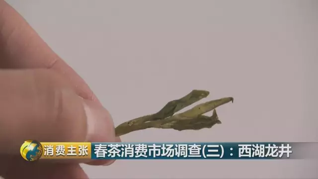 龍井群體種和43號的區(qū)別圖片，龍井43和群體種哪個(gè)好喝？