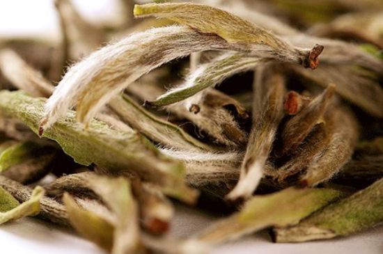 荒野銀針有什么特點，荒野銀針的味道口感咋樣？