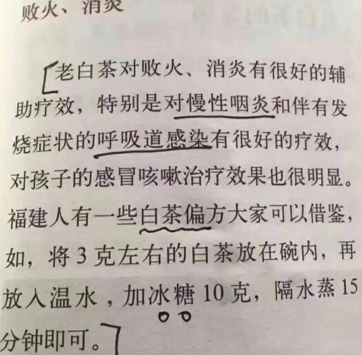 老白茶上火還是去火？夏季喝煮的老白茶會容易上火！