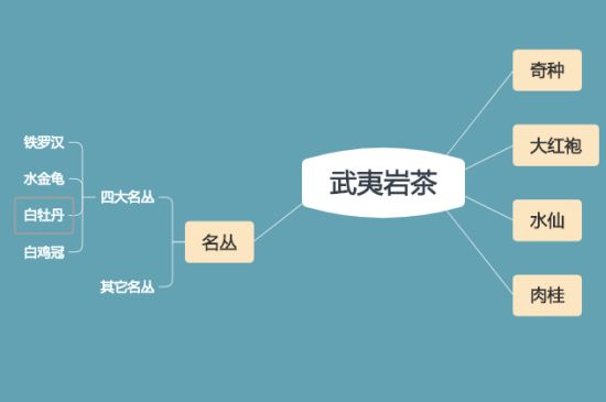 武夷巖茶品種大全，巖茶有幾種？