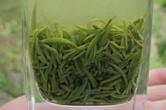 什么綠茶茶葉唇齒留香，哪個品種綠茶香氣好？