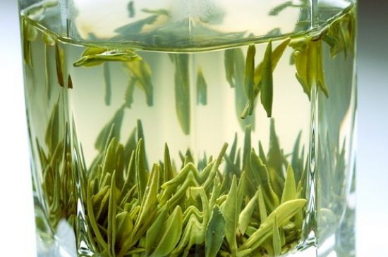 竹葉青和雀舌哪個貴，竹葉青茶貴嗎？