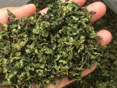 鐵觀音毛茶茶?？梢耘菟葐?，鐵觀音帶梗是不是好茶？