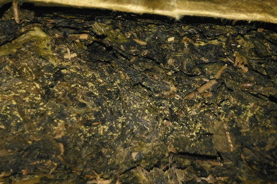 黑茶茯茶保存五大忌，茯茶收藏的注意事項