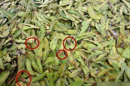 烏牛早和龍井的區(qū)別圖片，龍井43號(hào)和烏牛早茶的對比