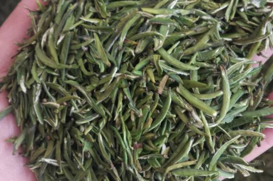 金壇雀舌算不算好茶，金壇雀舌屬于什么檔次茶葉？