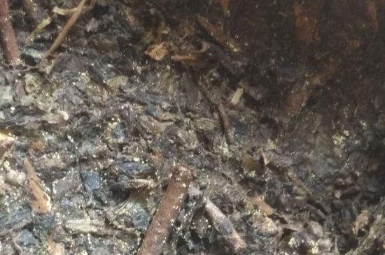 黑茶茯茶保存五大忌，茯茶收藏的注意事項