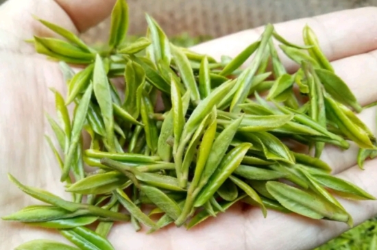 什么是雪前龍井茶，明前、雨前、雨后龍井有什么區(qū)別？