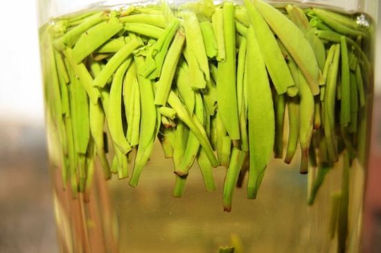 雀舌為何喝著是苦的，雀舌味道怎么那么苦澀？