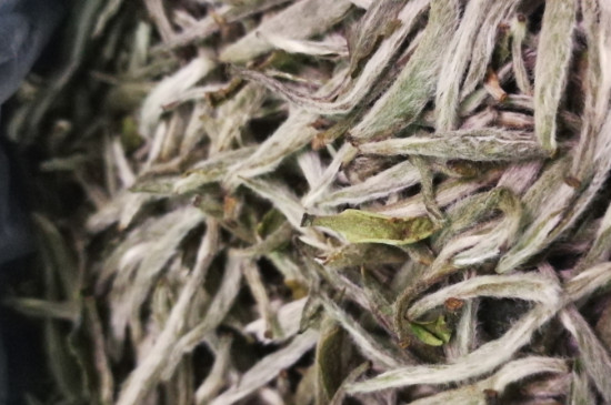 白毫銀針年份越久越好嗎，銀針白毫是否越陳越好